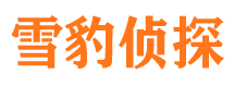 卫滨找人公司